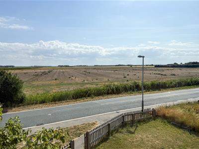 Picture 24